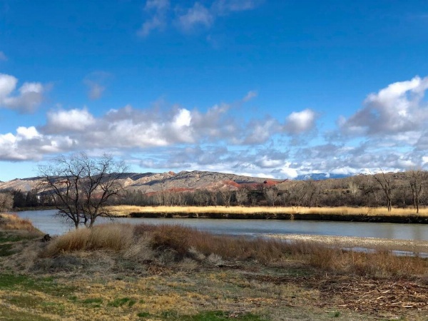 Wheels Motel image 20